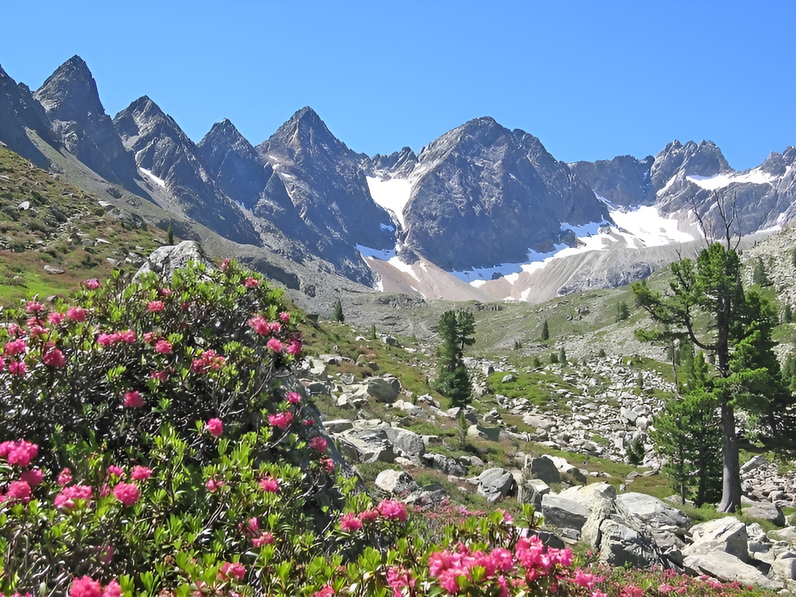 Mittertal_Sommer